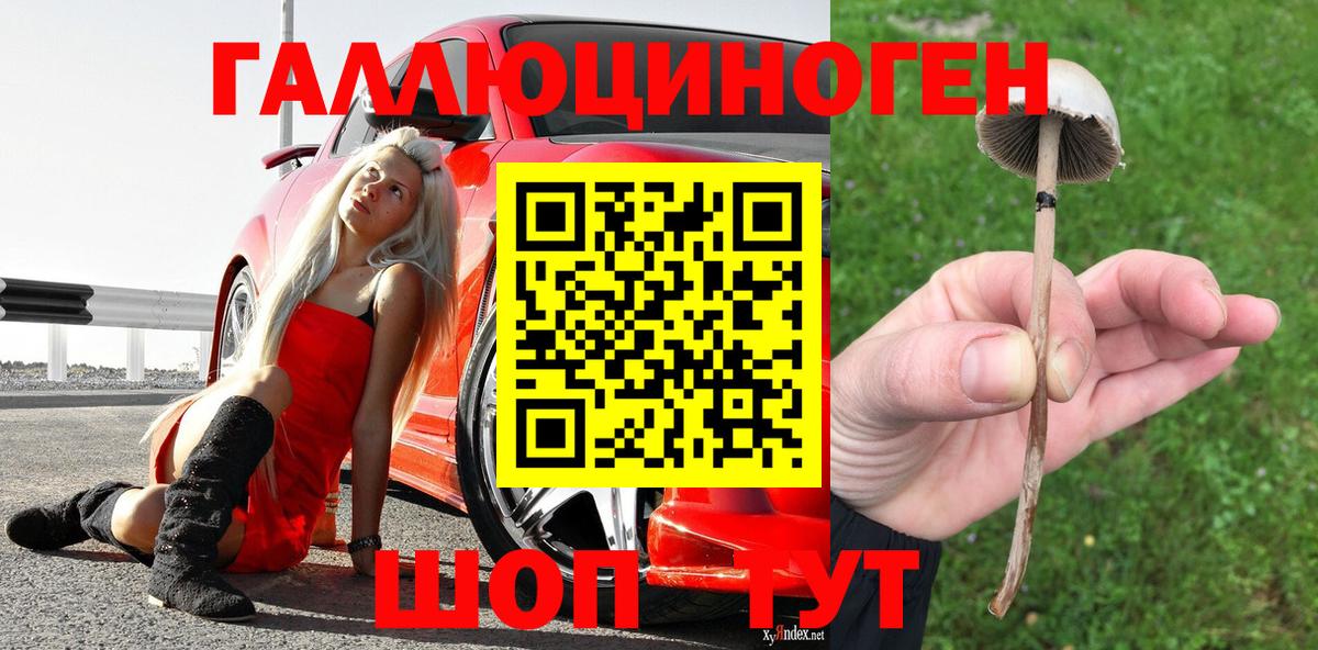 Галлюциногенные грибы MAGIC MUSHROOMS  Вход с VPN  Псилоцибиновые грибы ЛСД  как найти закладки  Карачаевск 