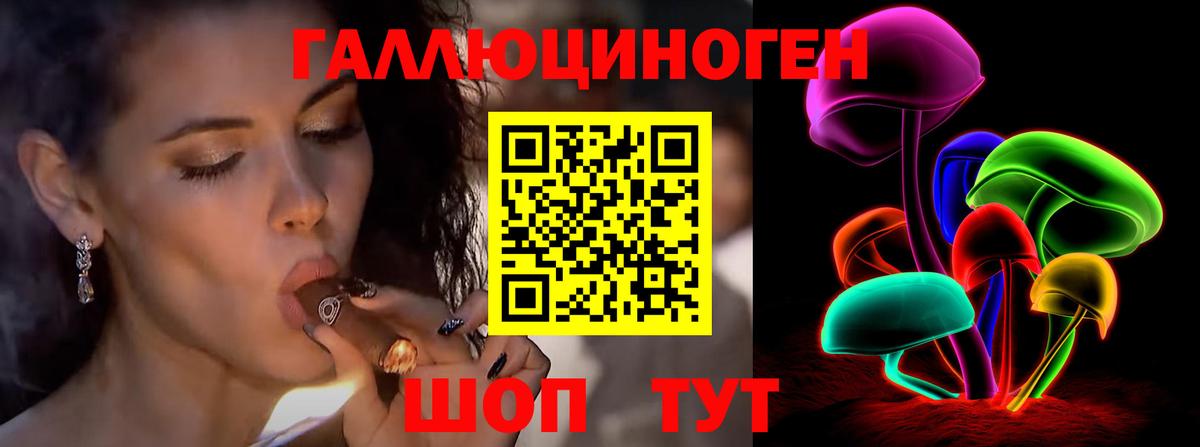 Псилоцибиновые грибы GOLDEN TEACHER Карачаевск